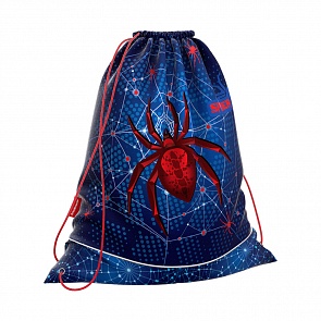 Мешок для обуви Spider, размер 36,5 х 44 см (Erich Krause, 44722)